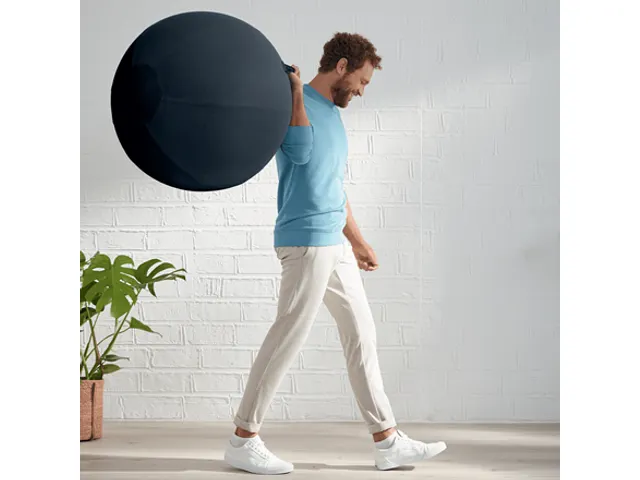 Leitz Ergo Cosy Actieve Zitbal Fluweel Grijs