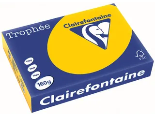 Trophée Intens Gekleurd Papier A4 160 gram 250vel Zonnebloem geel - 1