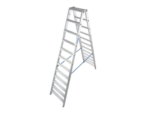 Gepensioneerd oosten Gluren Ladder Aan Beide Zijden Te Gebruiken H 2 80m 2x 12 Treden |  DiscountOffice.be