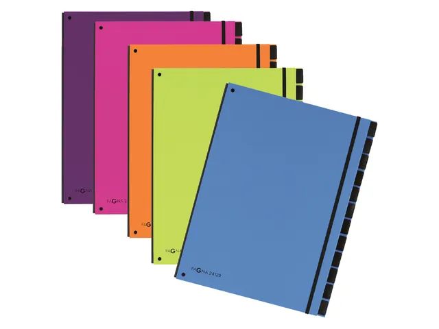 Sorteermap Pagna Trend 12 vaks A4 Pp Oranje