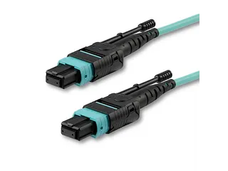 StarTech.com MPO12PL2M InfiniBand en Glasvezelkabel 2 meter MPO/MTP Aq - 1