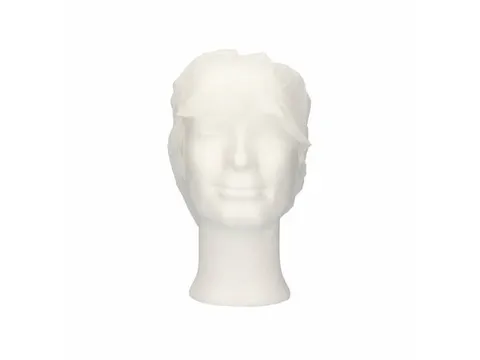 PPnw pet / klep XL haaropvang wit 'snood cap' 1000 Stuks