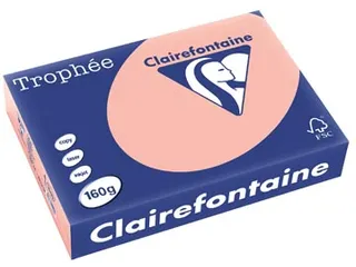 Trophée Pastel gekleurd papier A4 160 gram 250vel Perzik - 1