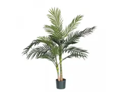 Palm Areca Golden Cane 120 cm