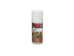 Luchtverfrisser Aerosol Spiced Up 490762
