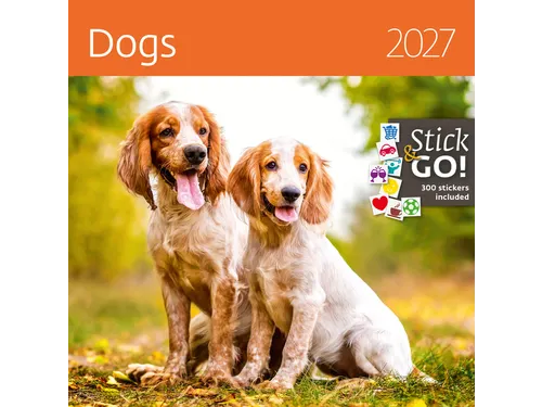 Kalender 2027 Helma 365 30x30cm honden