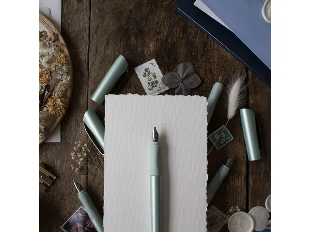 Stylo plume Calligraphie Schneider Callissima Menthe 1,1mm
