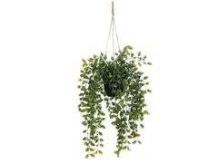 Kunstplant Mica Ficus hangend in pot groen 20x46cm