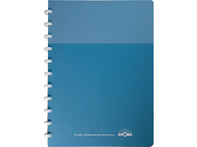 Schrift My Creative Atoma A4 Assorti Commercieel Ruit