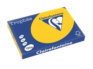 Trophée Intens gekleurd papier A3 120 gram 250vel Zonnebloemgeel - 1