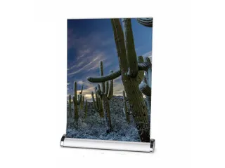 Roll-Banner Mini A3 Tafeldisplay - 1