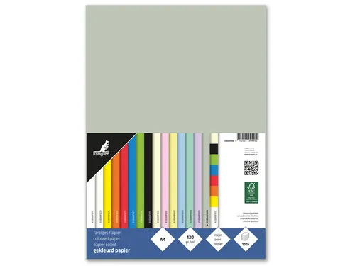 Papier Kangaro A4 120 grams pastel grijs pak 100 vel