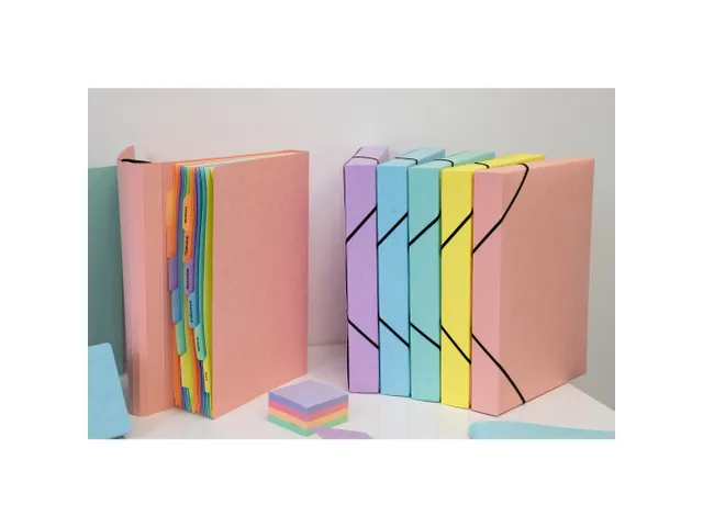 Pochette trieur carte multicolore 12 compartiments Aquarel - 34x24,5cm