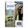 Inktcartridge Epson 24XL T2435 lichtblauw HC C13T24354012