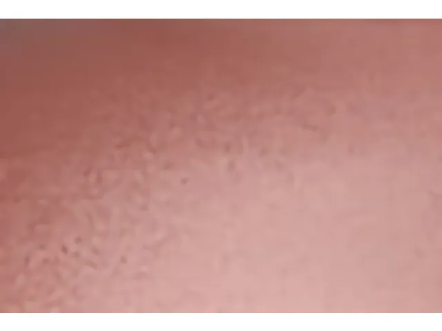 Supreme DIY spray Schneider Paint-It 030 koper metallic 200ml