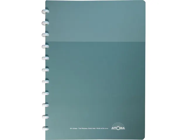 Schrift My Creative Atoma A4 Assorti Commercieel Ruit