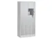 armoire multicases,corps RAL7035,face avant RAL7035