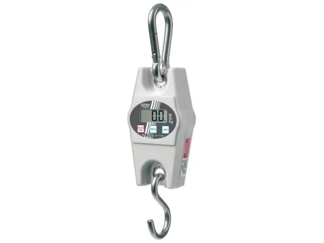 Hangweegschaal Lcd Display Weegbereik 0-100Kg Afleesbaar Per 50G