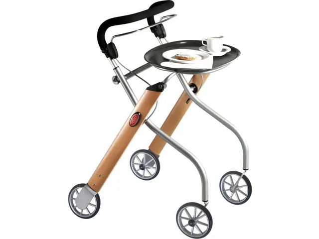 Déambulateur d'intérieur hêtre/argent Let's Go indoor pliable