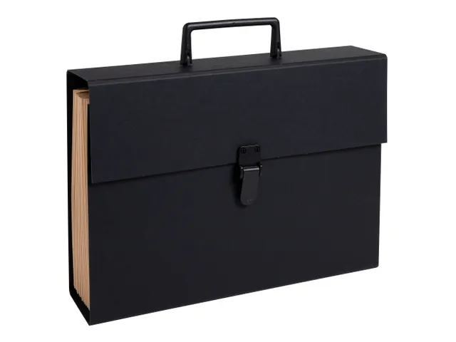 Sorteermap m/handvat 20 vak geass..