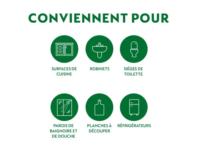 Lingettes multi-surfaces Dettol TC Eucalyptus & Citron 48 pièces