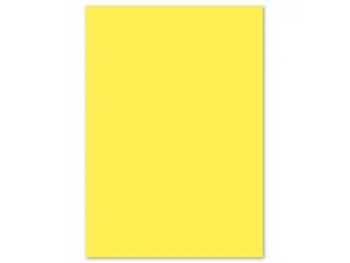 Papier Kangaro A4 160grs kanarie geel pak 50 vel - 3