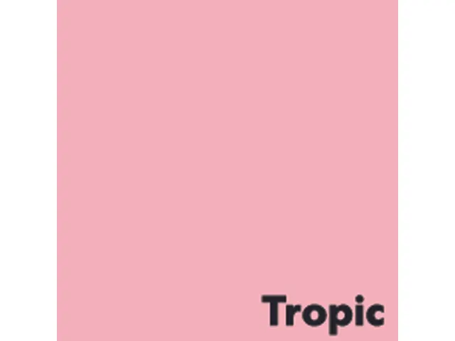Papier copieur Tropic rose A4 80g 500 feuilles