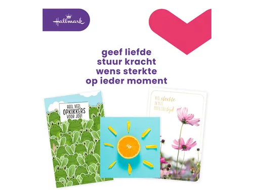 Wenskaart Hallmark Business Box beterschap navulset à 12 stuks