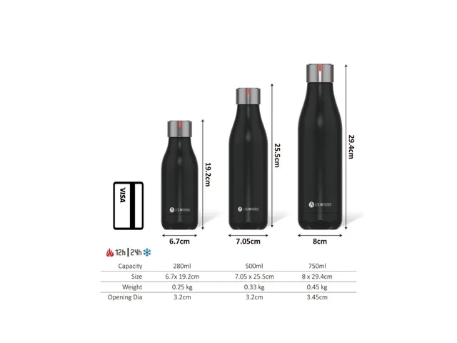 Thermosfles Les Artistes Paris 500ml Stainless steel