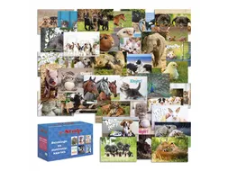 Beloningskaarten De Stulp dierenmix