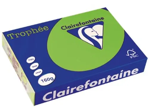 Trophée Intens gekleurd papier A4 160 gram 250vel Grasgroen