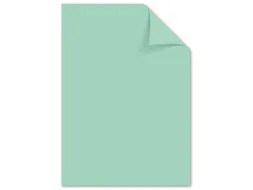 Papier Kangaro A4 120 grams pastel groen pak 100 vel