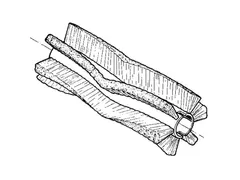 Hoofdborstel Ø265x600mm Mix 5 1465216000