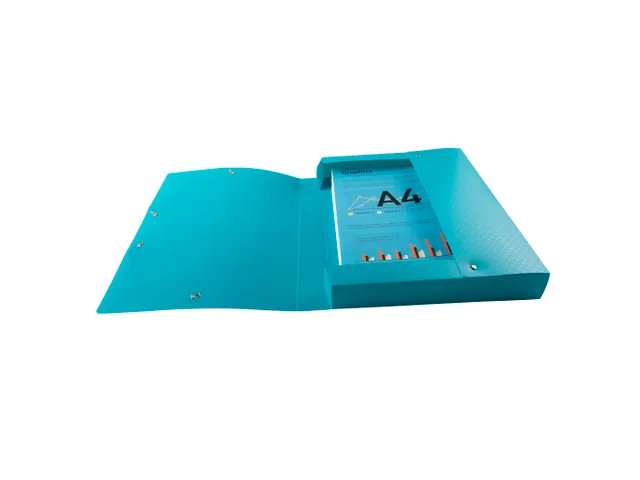 Klasseerdoos rug 40m m PP Forever Young