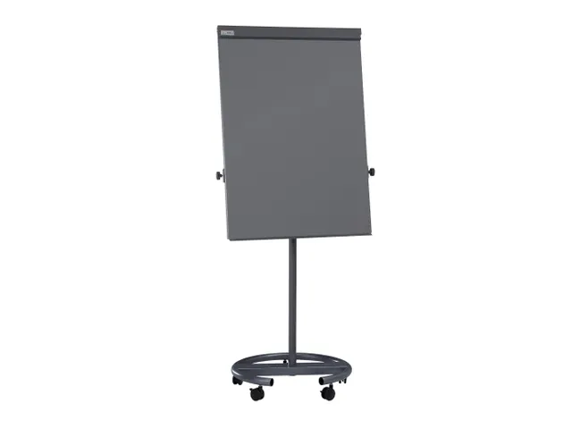 Chevalet de conférence Mobile MAULoffice Pied couronne Anthracite