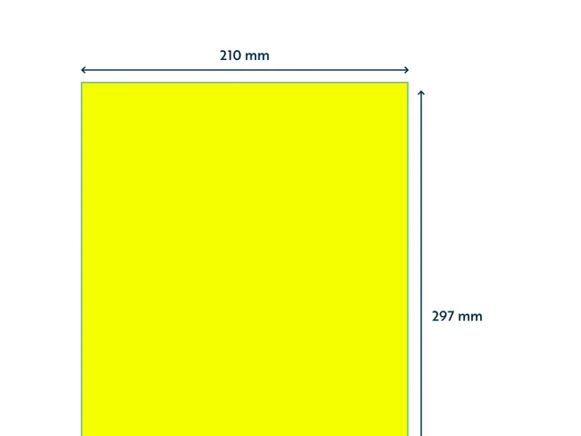 Etiket 210x297mm Fluor Geel 100 Vel