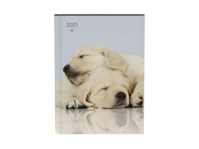 Agenda 2021 my favourite friends dogs