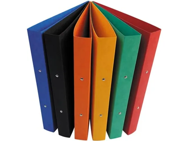 ringmap voor A4 glanskarton 2 ringen 25 mm assorti