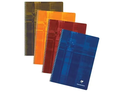 Clairefontaine Schrift A4 Geruit 5 mm Assorti