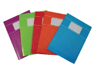 Schrift Verhaaktrend A4 80Blz Ruit 10Mm Assorti - 3