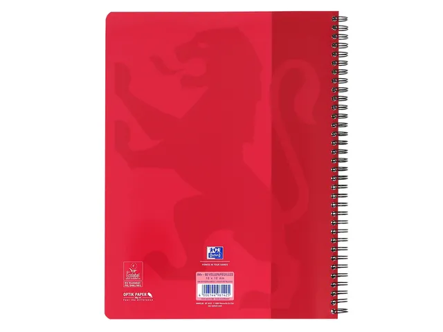 Collegeblok Oxford School Scribzee A4 23-Gaats Ruit 10Mm 80Vel Assorti