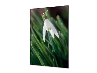 Wanddecoratie Textiel Set A1 Witte Bloem Sneeuwklokje - 1