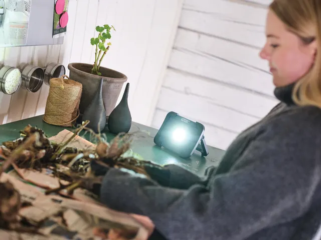 Werklamp Rapid The Portable