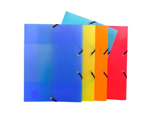 Exacompta Elastomap Linicolor PP A4 Assorti