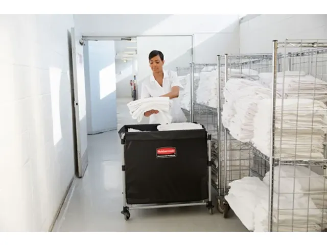 X-Cart frame 300 ltr, Rubbermaid