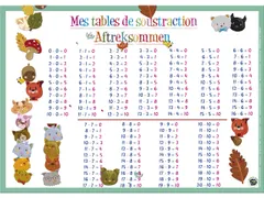 Sous-Mains Soustractions NL+FR42 x 30 cm