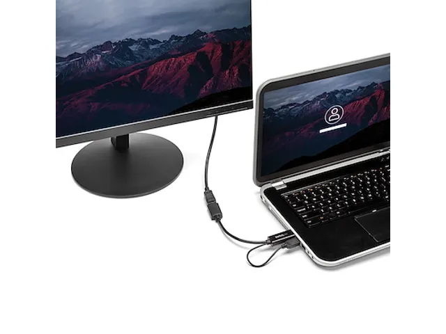Adaptateur Vidéo HDMI 4K 30Hz vers DisplayPort