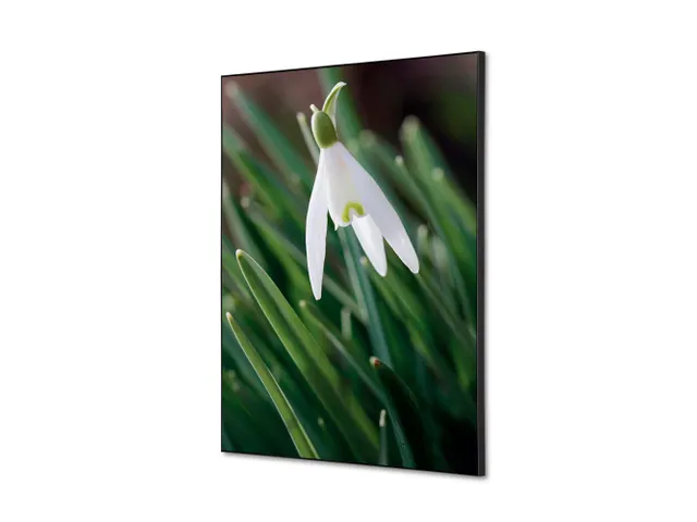 Wanddecoratie Textiel Set A2 Witte Bloem Sneeuwklokje