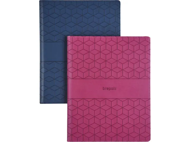 Agenda Timing Cube assorti 2026