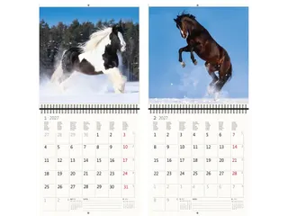 Kalender 2027 Helma 365 30x30cm paarden - 4